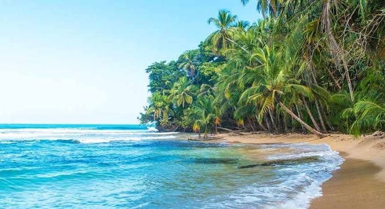 Palm-lined beach on the Caribbean coast