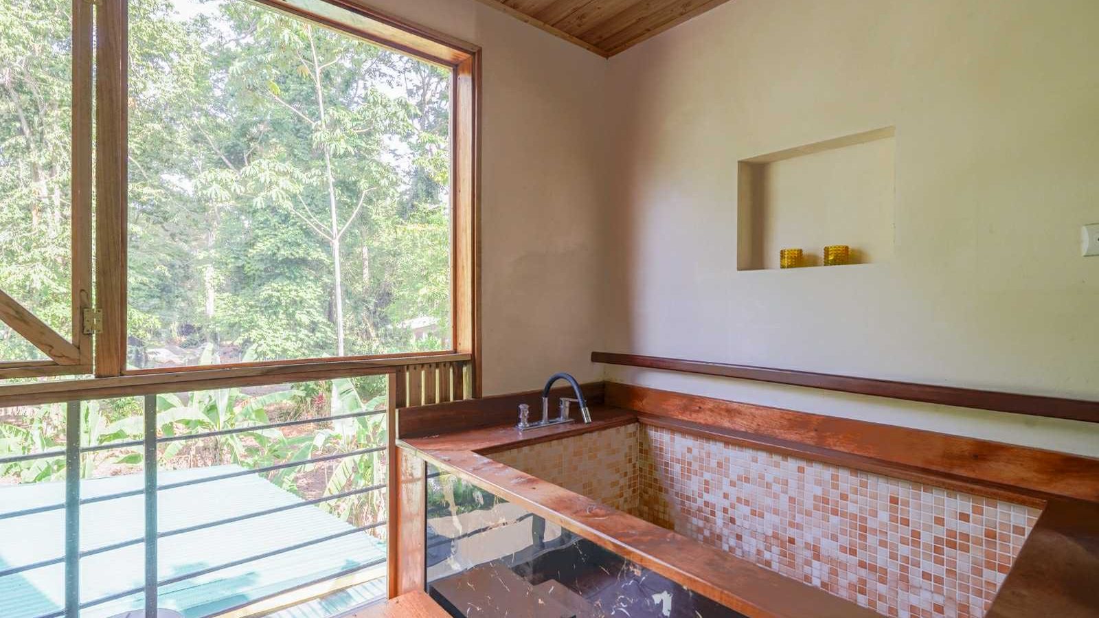 Bath beside a jungle window